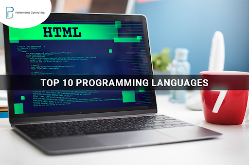 Top 10 Programming Languages to Use in Cyber Security Programming- PatternBots